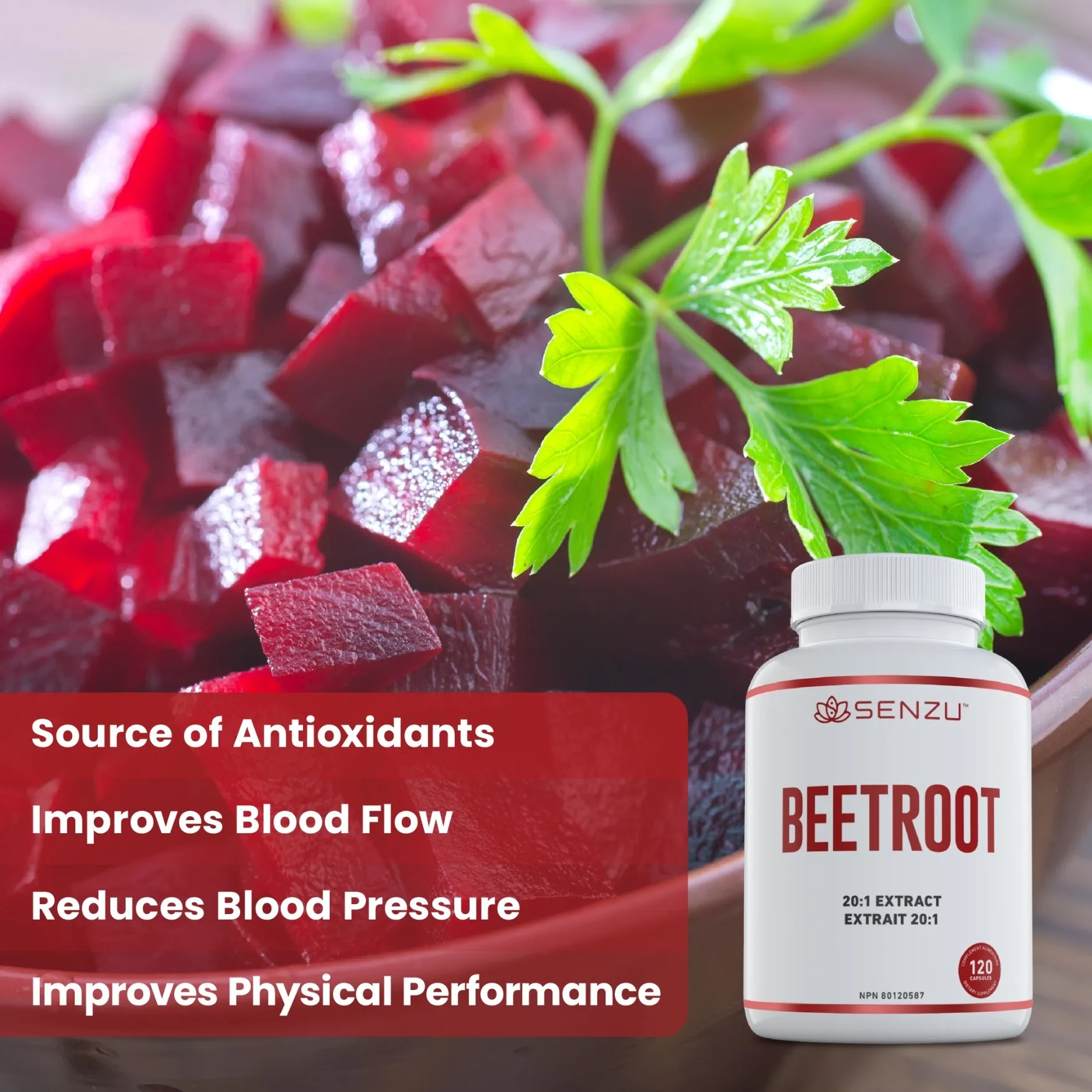 Beetroot 20:1 Extract - Image 4