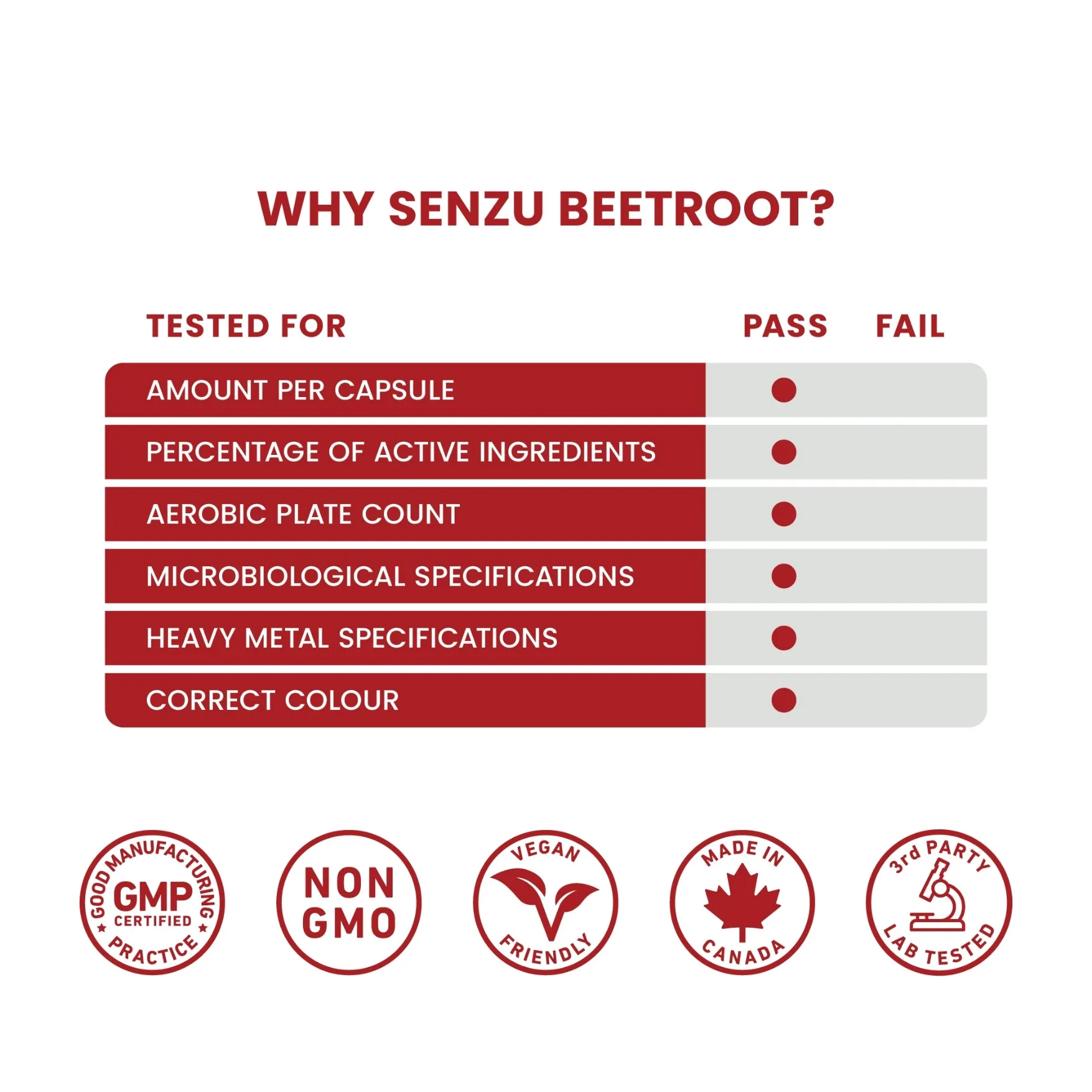 Beetroot 20:1 Extract - Image 5