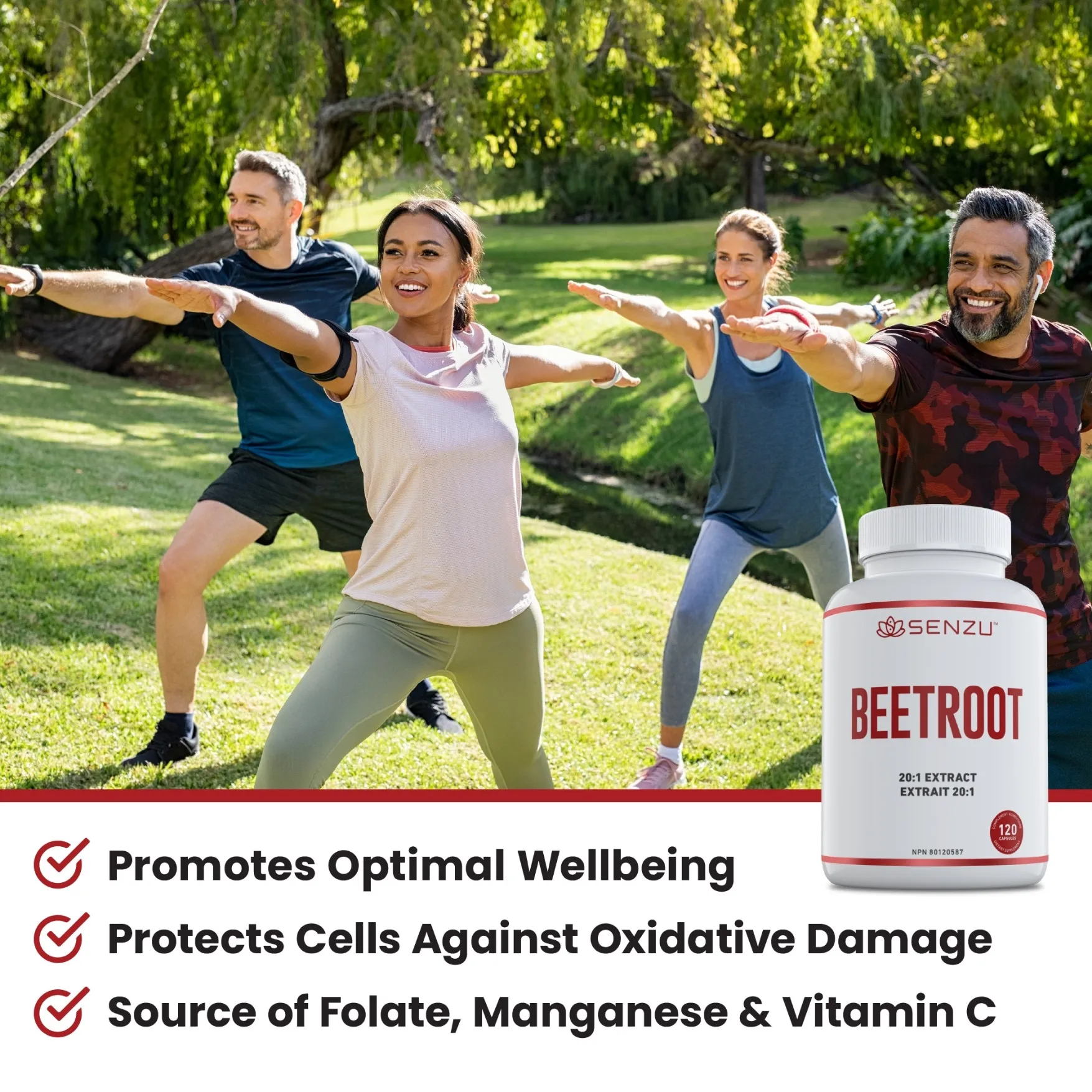 Beetroot 20:1 Extract - Image 6