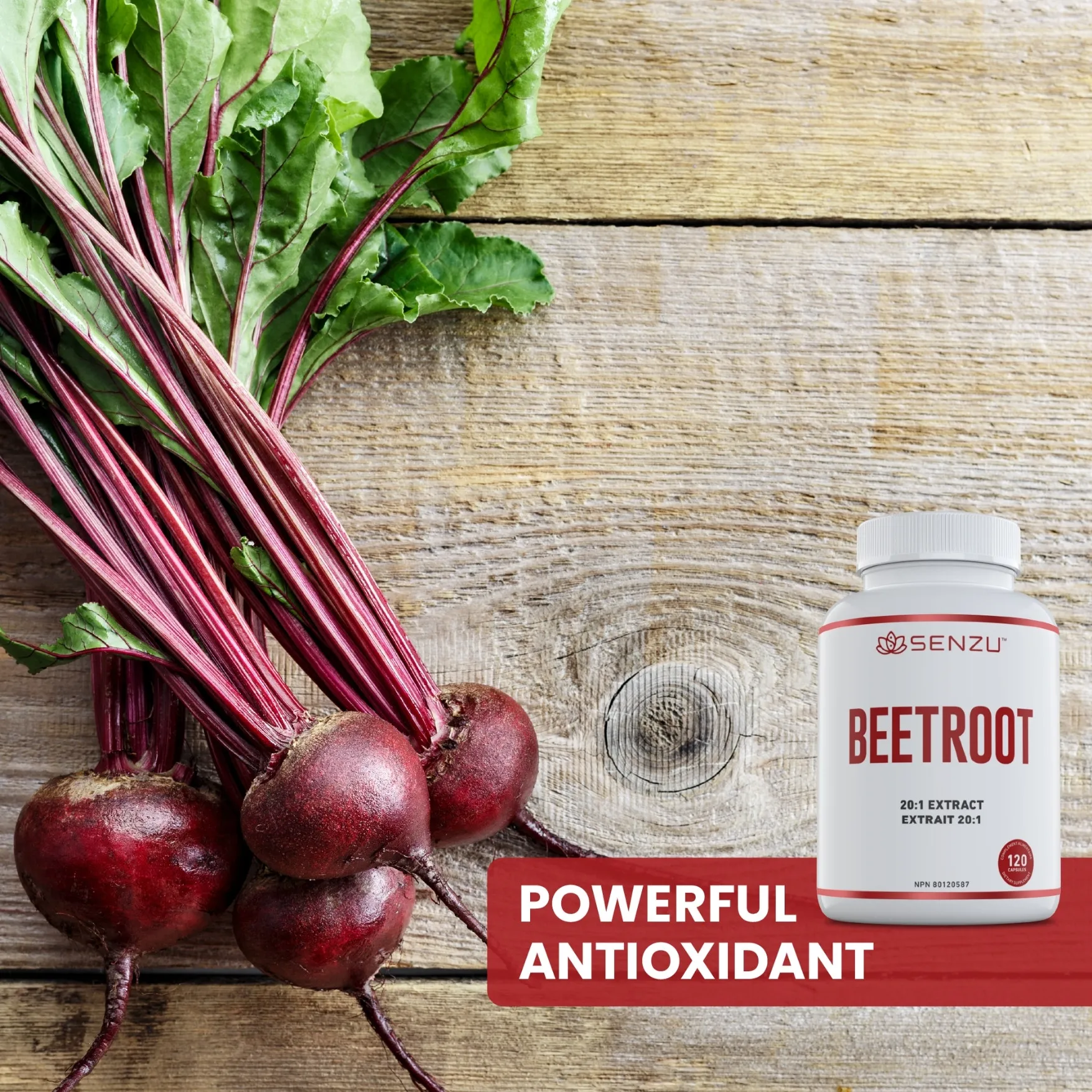 Beetroot 20:1 Extract - Image 7