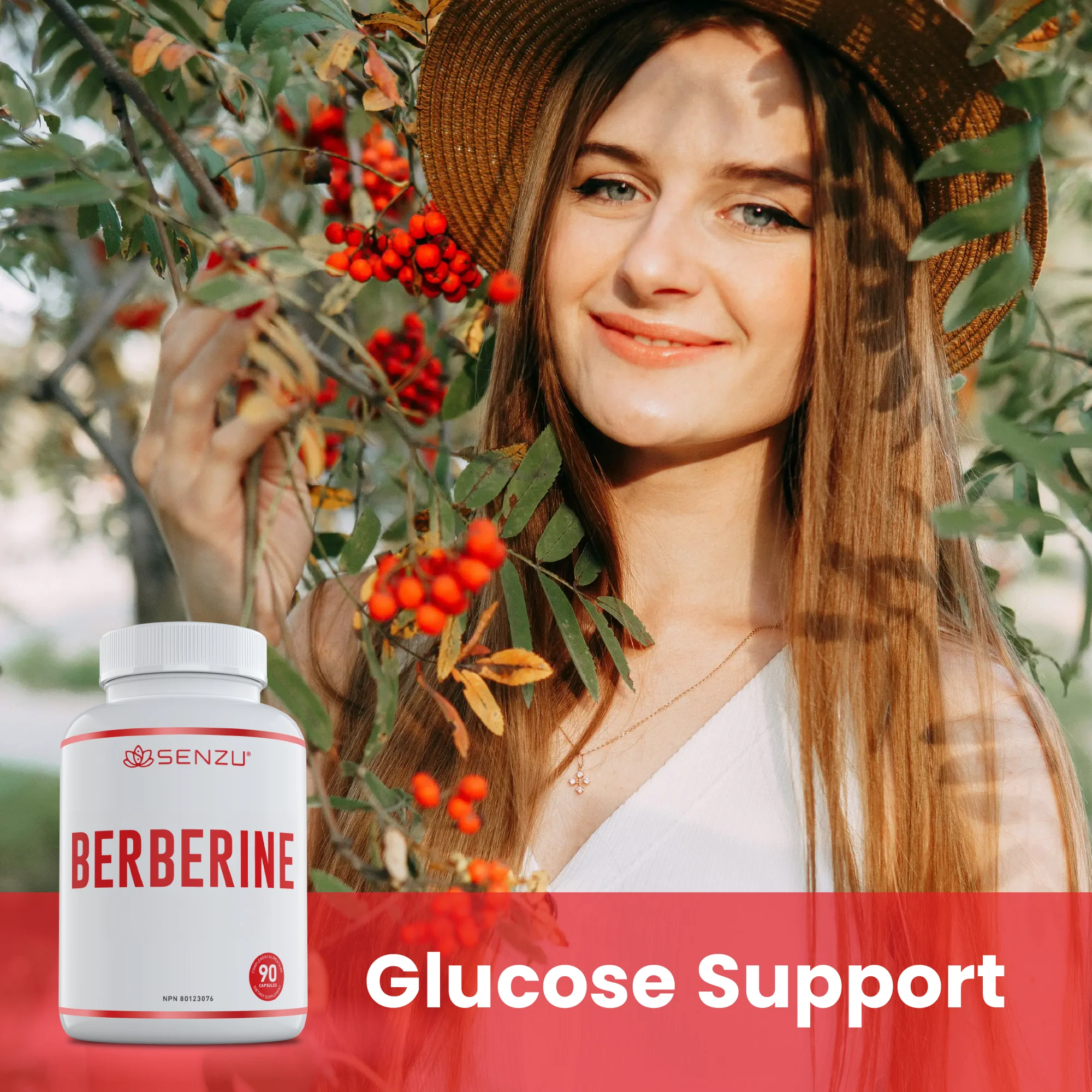 Berberine - Image 5