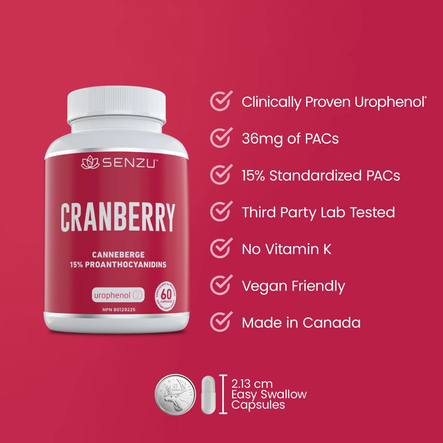 Cranberry Extract Urophenol - Image 4