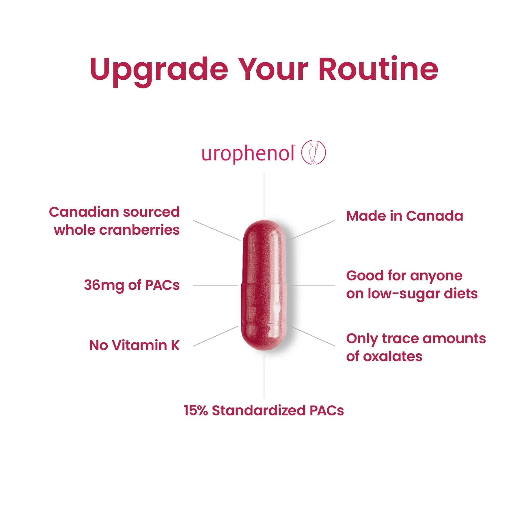 Cranberry Extract Urophenol - Image 5