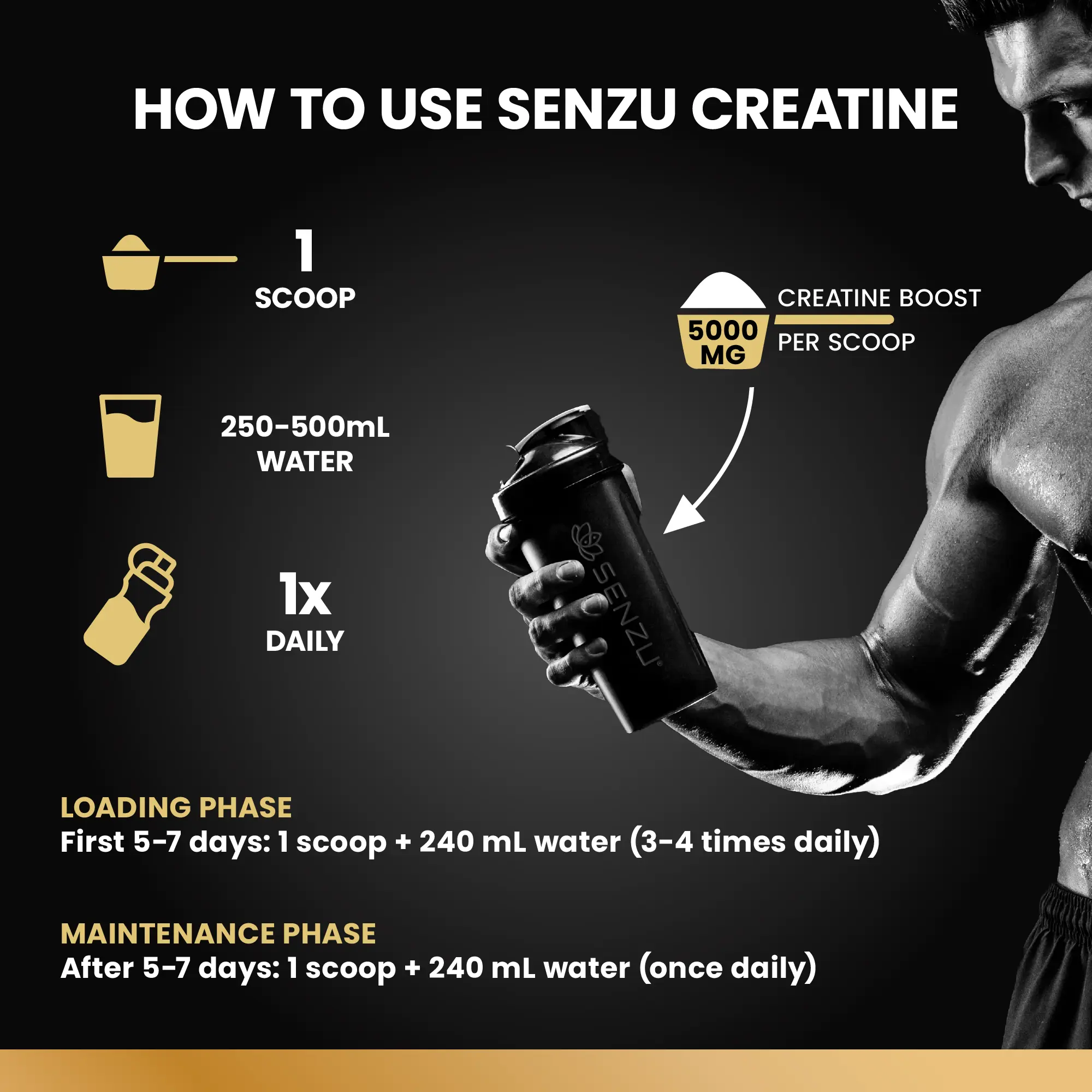 Micronized Creatine Powder - Image 4
