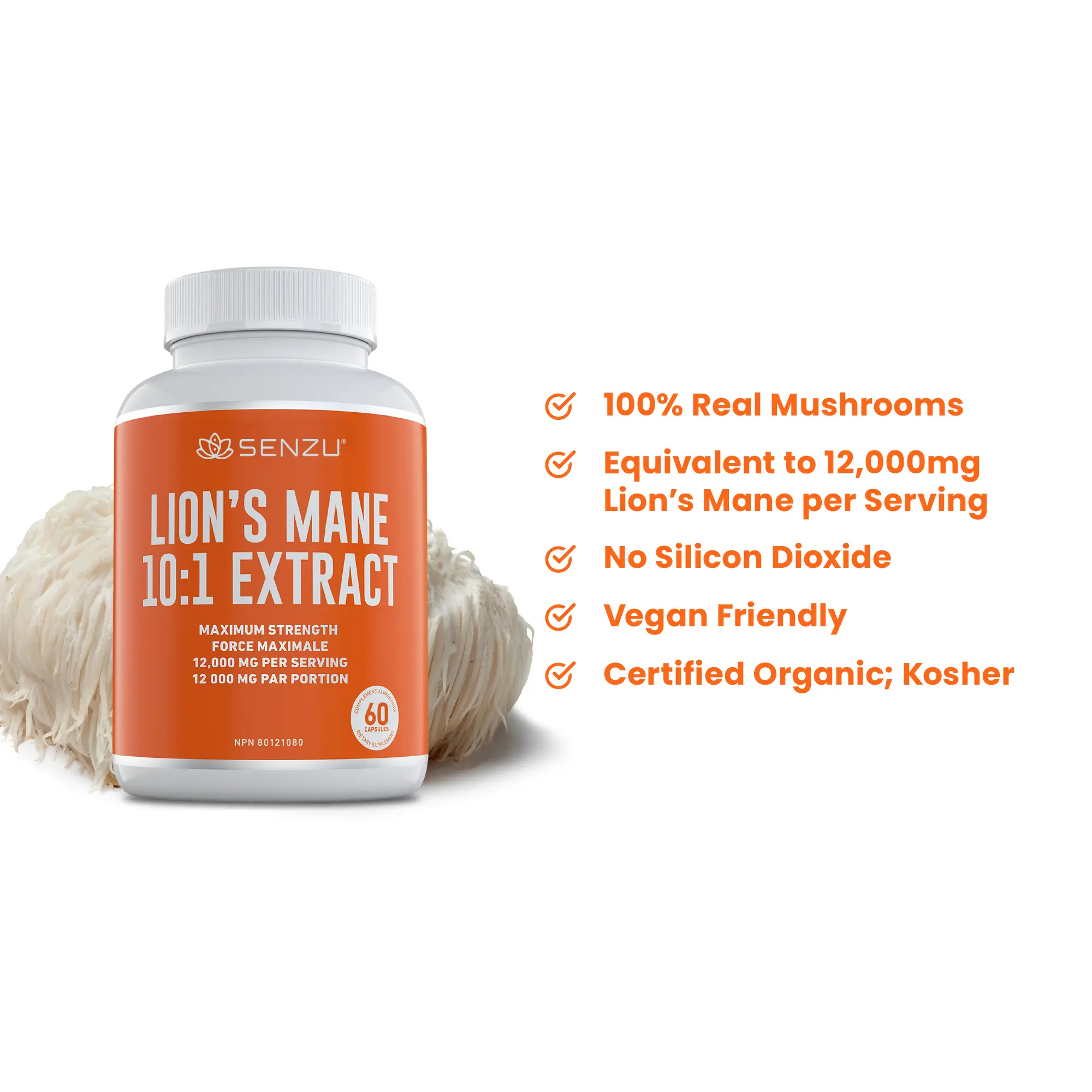 Lion's Mane 10:1 Extract - Image 4