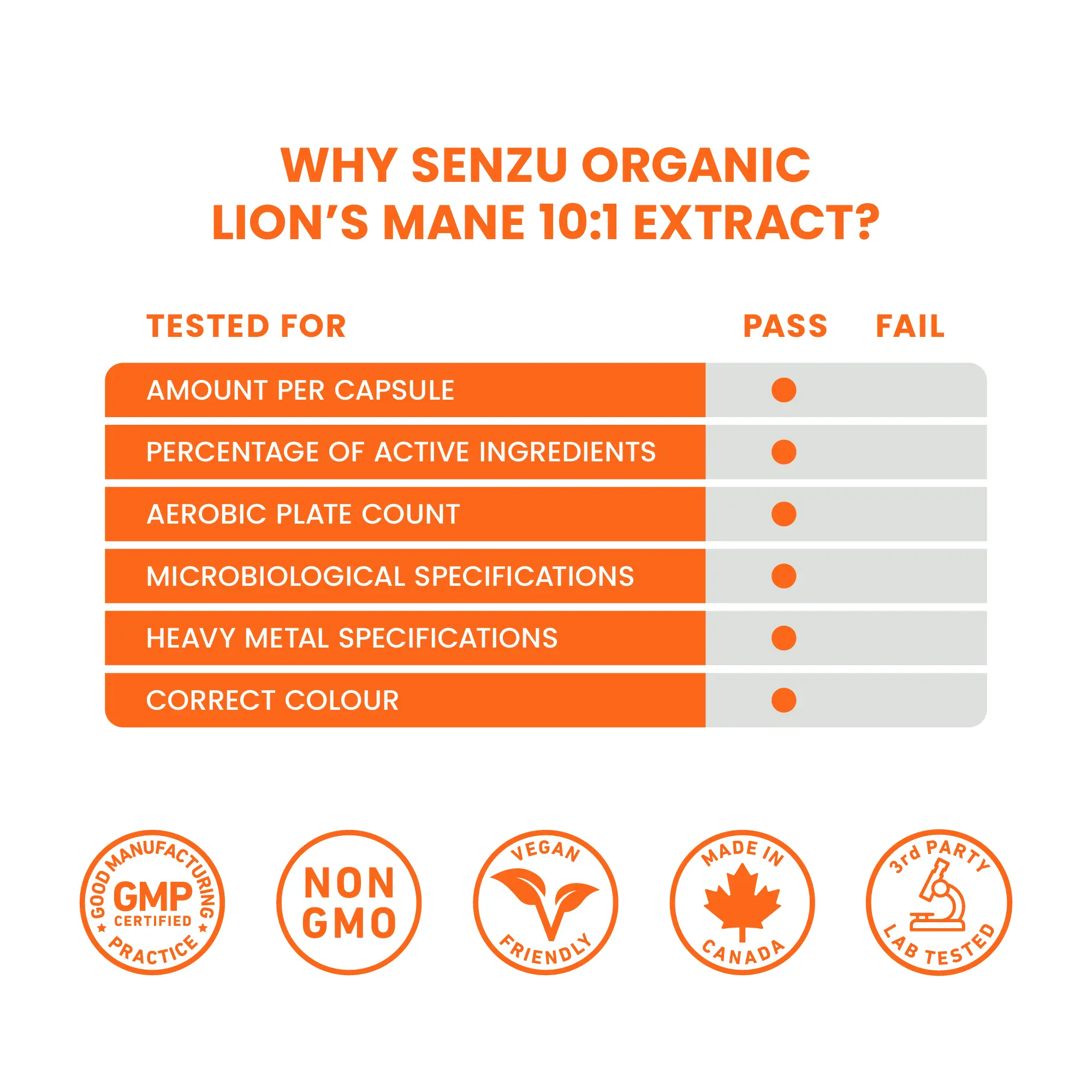 Lion's Mane 10:1 Extract - Image 9