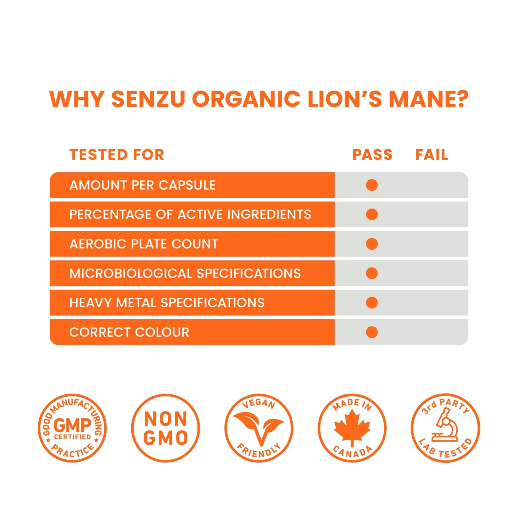Organic Lion's Mane - Image 7