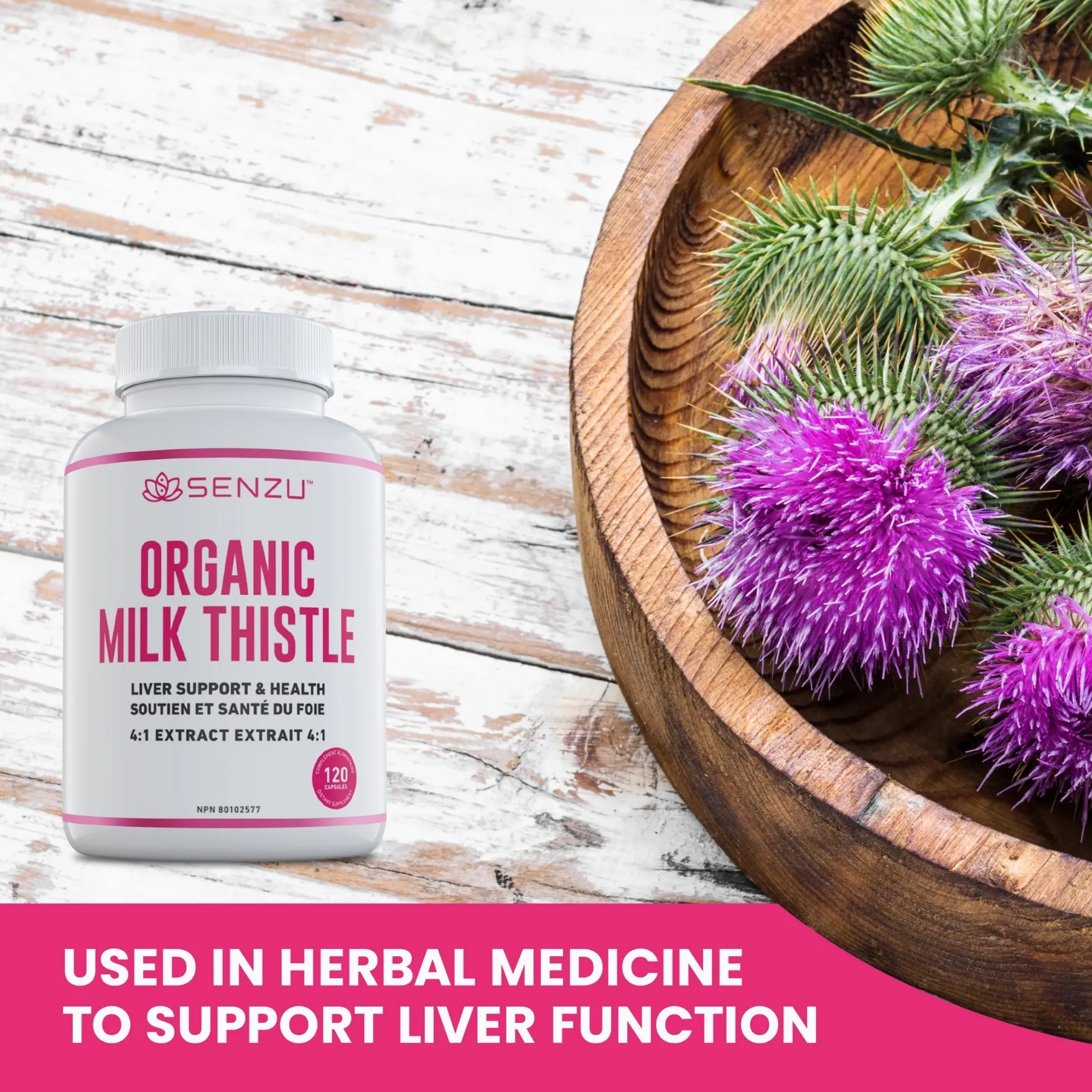 Organic Milk Thistle 4:1 Extract - Image 5