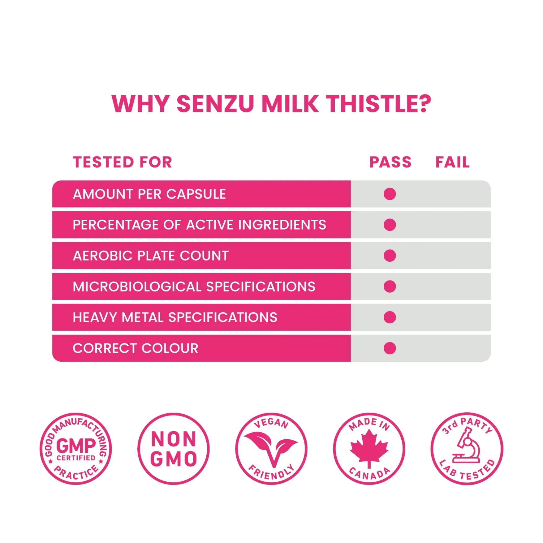 Organic Milk Thistle 4:1 Extract - Image 7