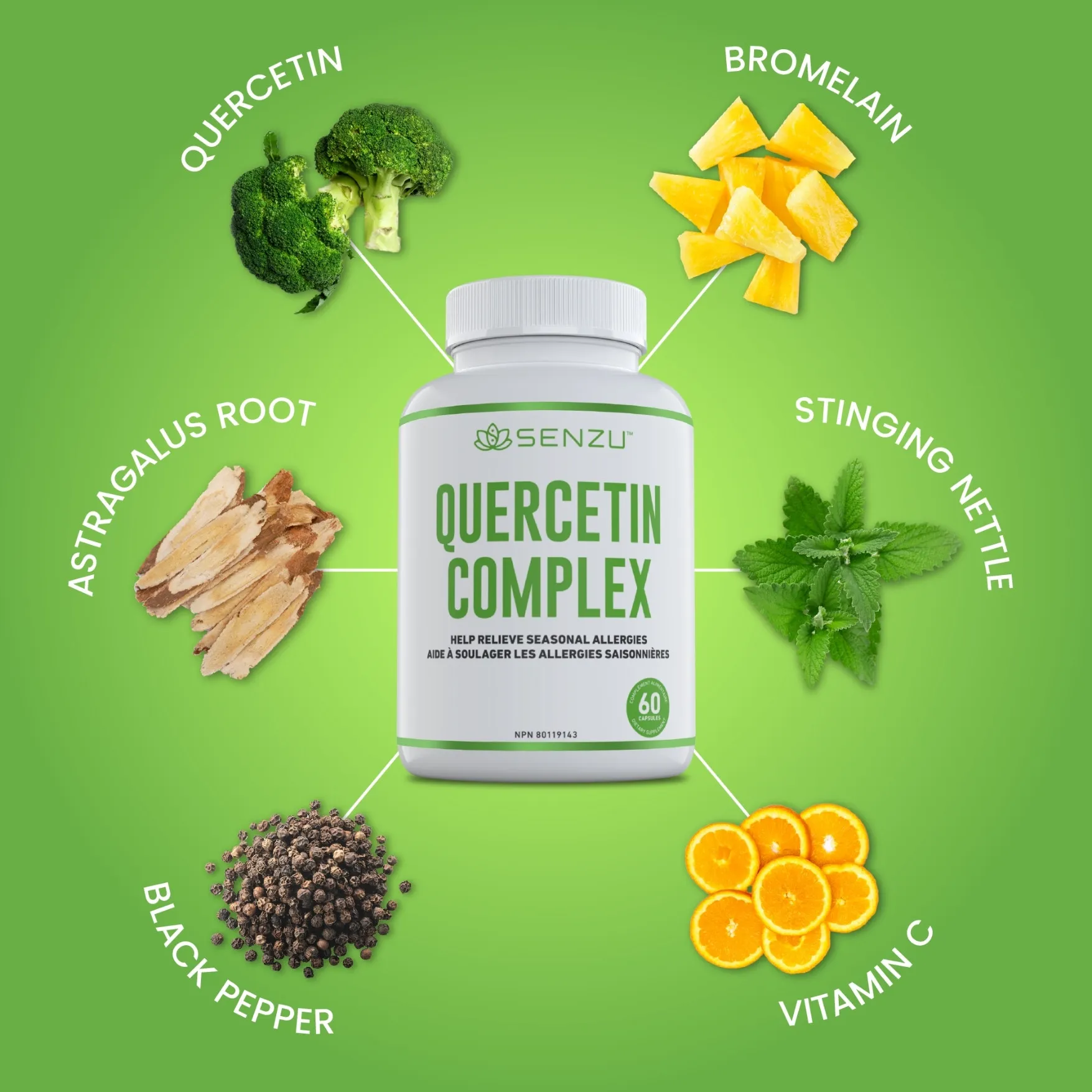 Quercetin Complex - Image 6