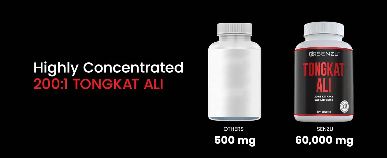 Tongkat Ali - Image 10