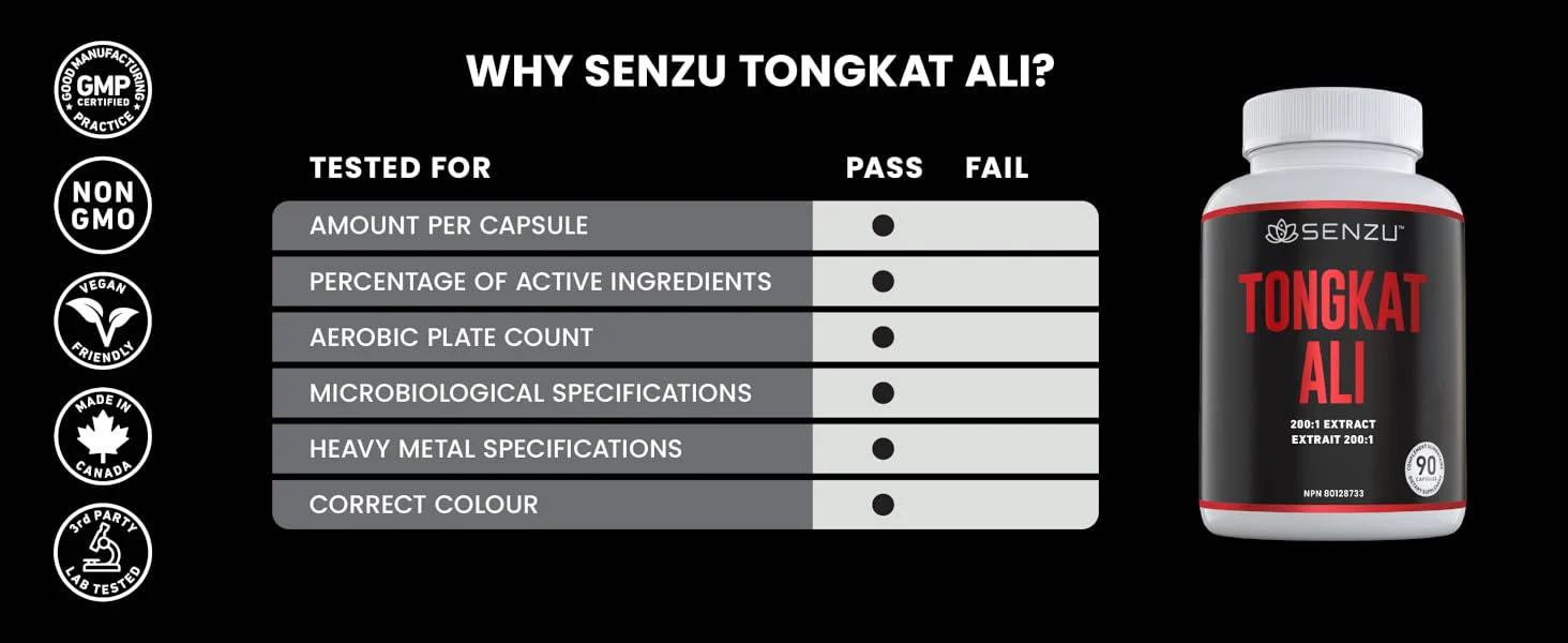 Tongkat Ali - Image 9