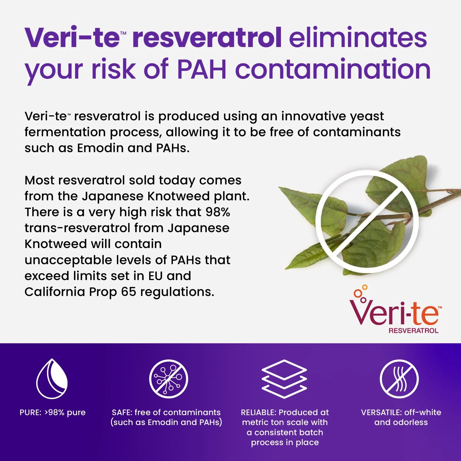 Trans-Resveratrol 98% - Image 6