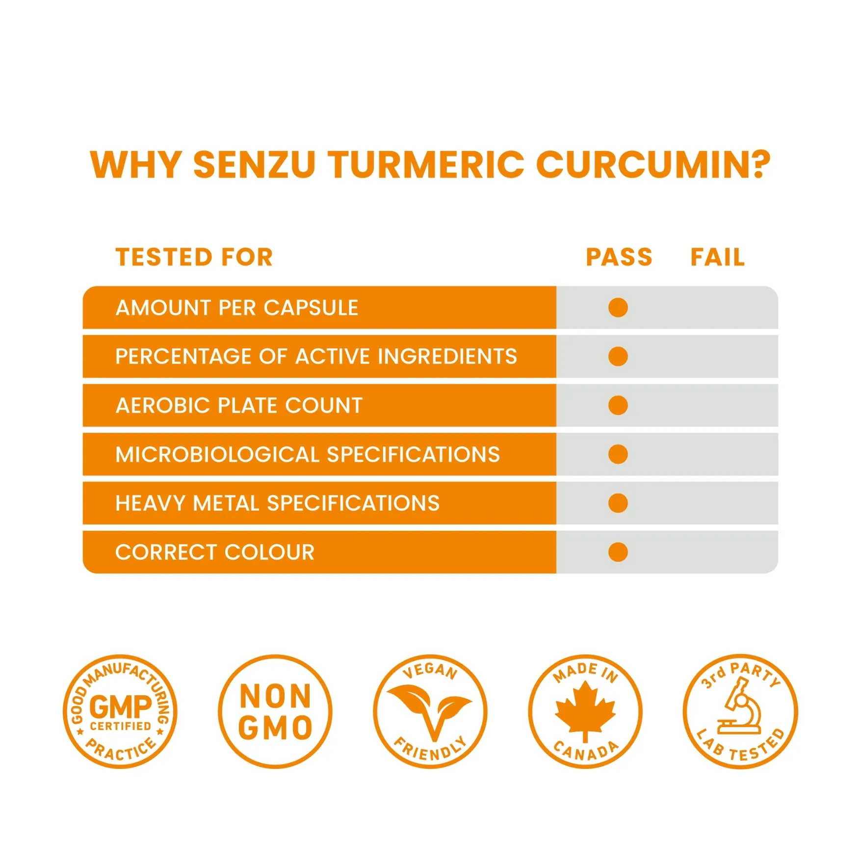 Turmeric Curcumin - Image 6
